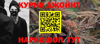 гидра Пушкино
