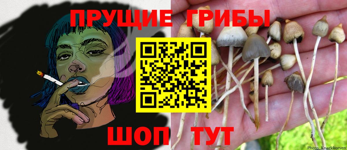Галлюциногенные грибы мухоморы  Псилоцибиновые грибы ЛСД  Баксан  продажа наркотиков  Вход с VPN 