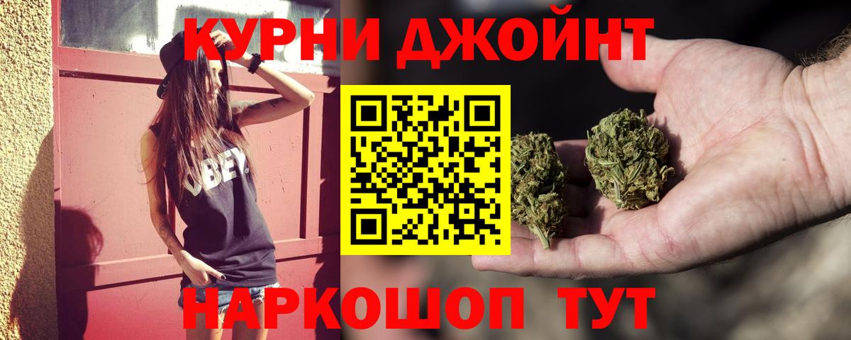 Каннабис планчик Баксан